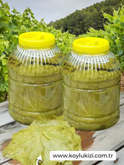 Salamura Yaprak (2 Bidon)