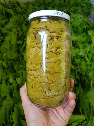 Kuru Basım Yaprak 1'lik Kavanoz