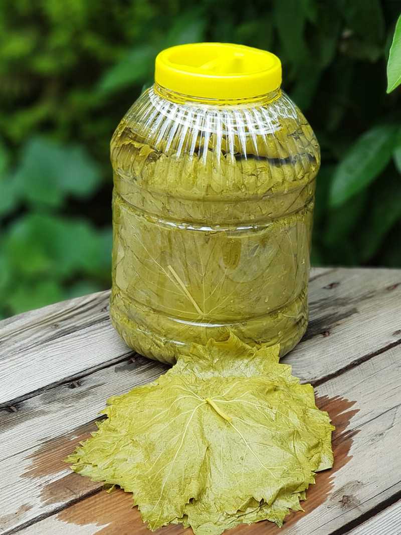 Salamura Yaprak 5'lik Bidon