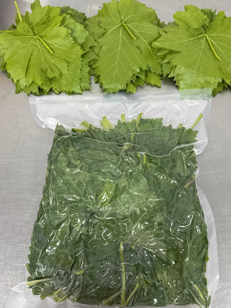 Taze Asma Yaprak Vakumlu 1 kg