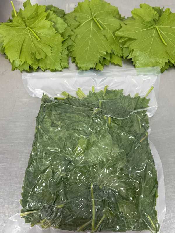 Taze Asma Yaprak Vakumlu 1 kg