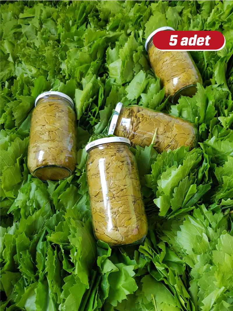 Kuru Basım Asma Yaprak 5 Adet