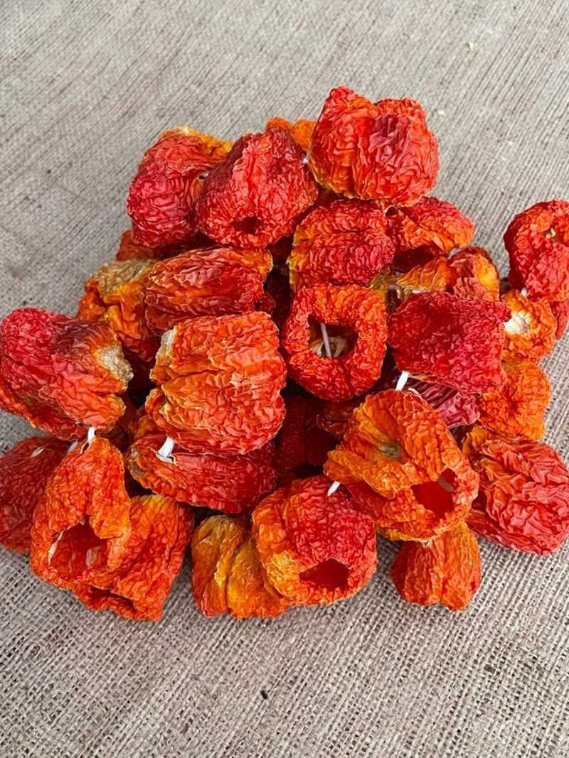 Dolmalık Kuru Biber 1 Dizi
